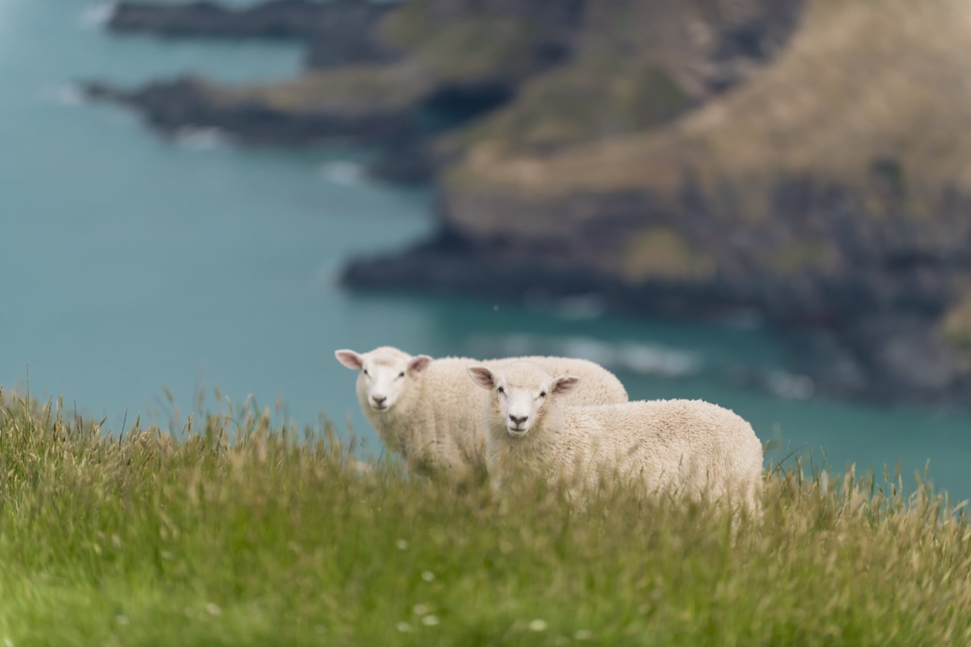 our-science-keraplast